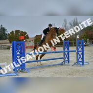 PR2_2343_Gramont