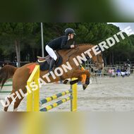 PR2_2345_Gramont
