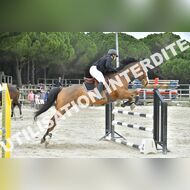 PR2_2350_Gramont