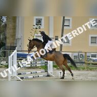 PR2_2353_Gramont