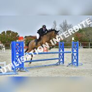 PR2_2354_Gramont