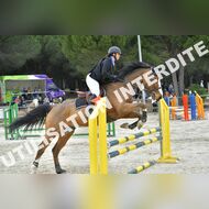 PR2_2356_Gramont