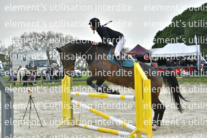 PR2_2358_Gramont