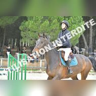 PR2_2362_Gramont