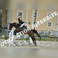 PR2_2363_Gramont