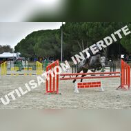 PR2_2365_Gramont