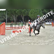 PR2_2366_Gramont