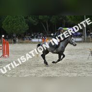 PR2_2367_Gramont