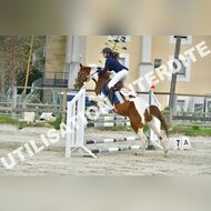 PR2_2376_Gramont