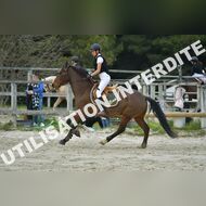 PR2_2395_Gramont