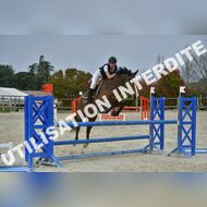 PR2_2405_Gramont