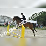 PR2_2410_Gramont