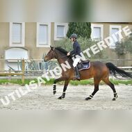 PR2_2416_Gramont
