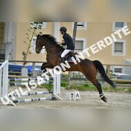 PR2_2417_Gramont