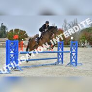 PR2_2418_Gramont