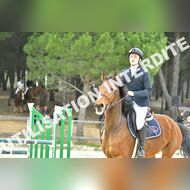 PR2_2428_Gramont