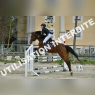 PR2_2429_Gramont
