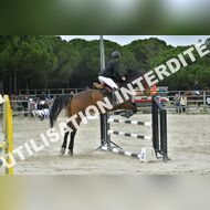 PR2_2437_Gramont