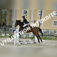 PR2_2441_Gramont