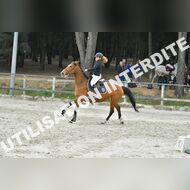 PR2_2448_Gramont