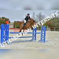 PR2_2456_Gramont