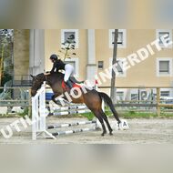 PR2_2464_Gramont