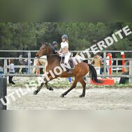 PR2_2472_Gramont
