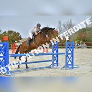 PR2_2480_Gramont
