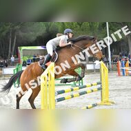 PR2_2482_Gramont
