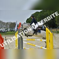 PR2_1611_Gramont