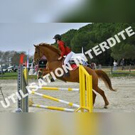 PR2_1621_Gramont