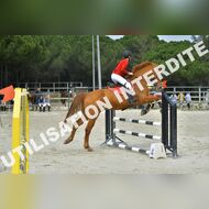 PR2_1623_Gramont