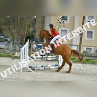 PR2_1627_Gramont