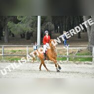 PR2_1630_Gramont