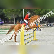 PR2_1632_Gramont