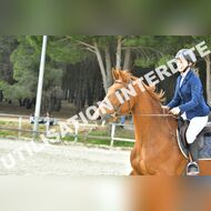 PR2_1640_Gramont