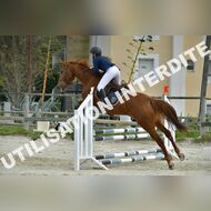 PR2_1641_Gramont