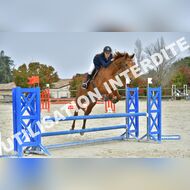 PR2_1642_Gramont