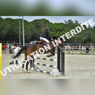 PR2_1661_Gramont