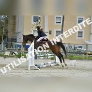 PR2_1665_Gramont