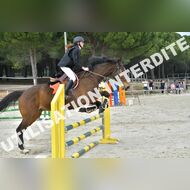 PR2_1668_Gramont