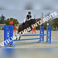 PR2_1691_Gramont