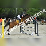 PR2_1699_Gramont