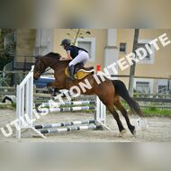 PR2_1703_Gramont