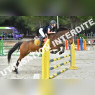 PR2_1706_Gramont