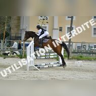 PR2_1715_Gramont