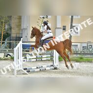 PR2_1728_Gramont