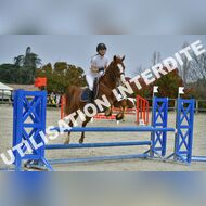 PR2_1729_Gramont