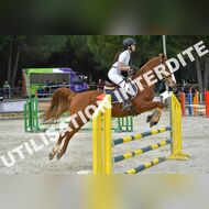 PR2_1731_Gramont