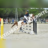 PR2_1736_Gramont